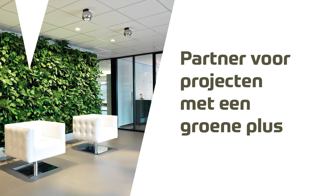 mostert de winter groene daken