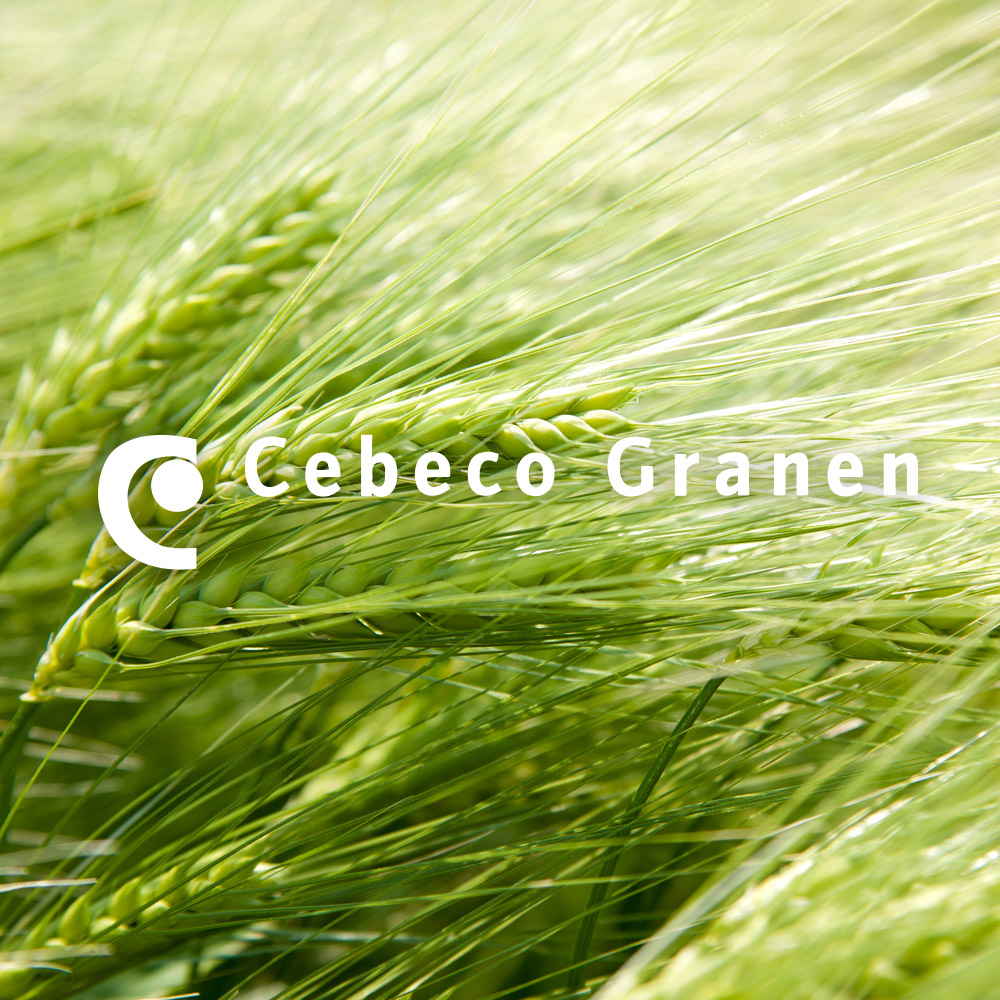 cebeco-granen-website-kl