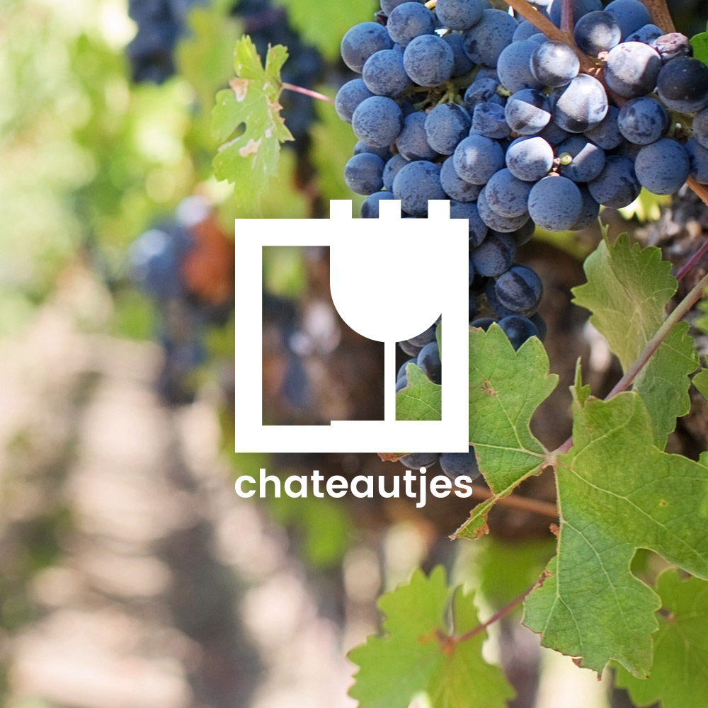 chateautjes-wijnhandel-website-kl