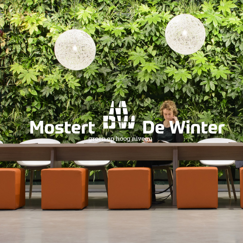 mostert-de-winter-website-kl