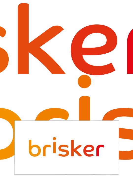 brisker-group-logo-kl