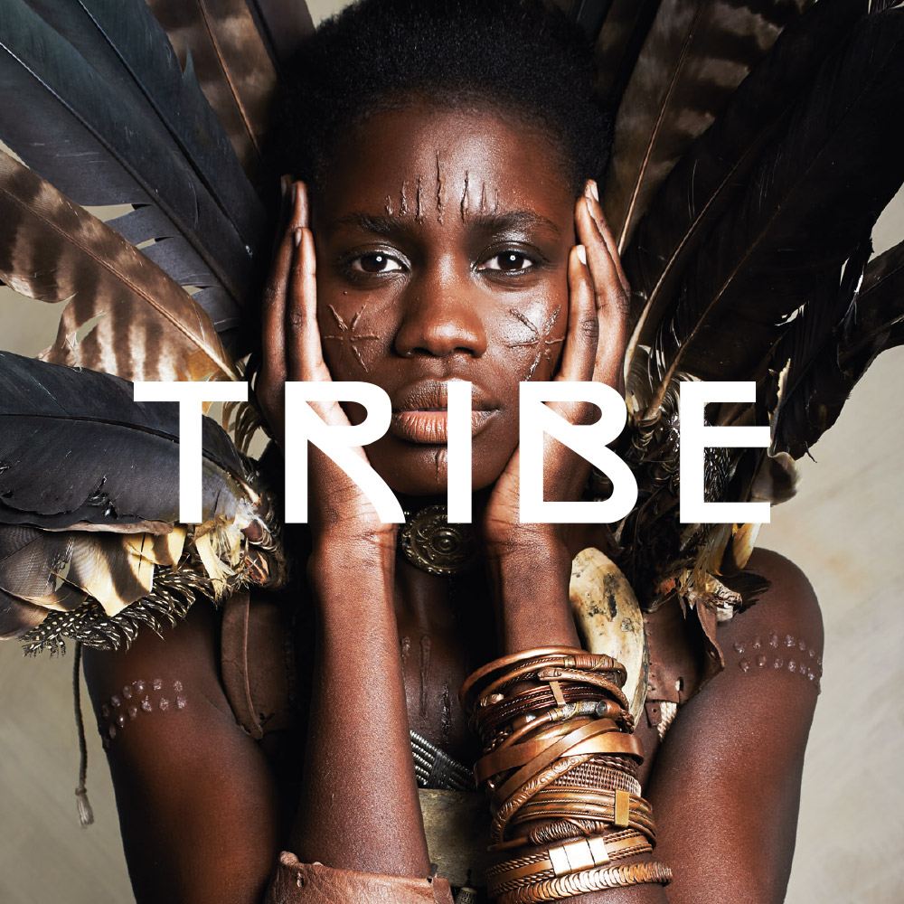 tribe-website-ontwerp-kl